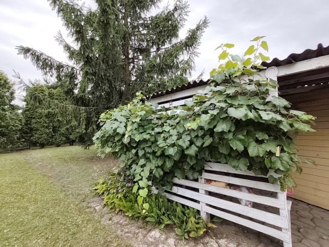 Działka Sprzedaż Luboń 3 Maja 2
