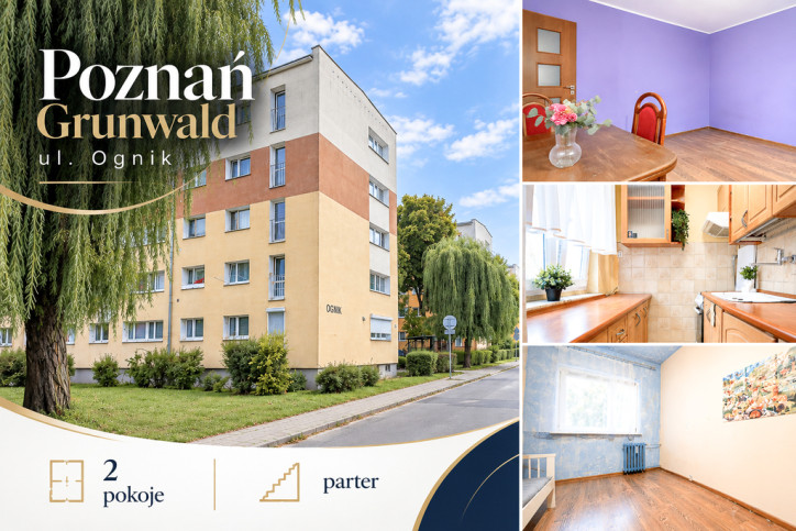 Mieszkanie Sprzedaż Poznań Ognik 2